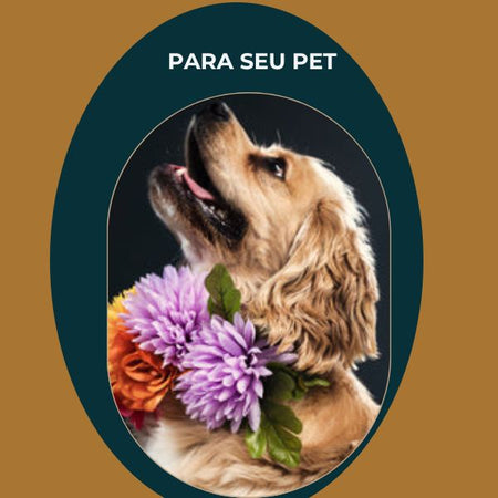 PARA SEU PET